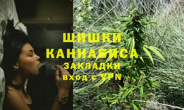 apvp Кукмор