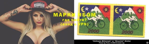 apvp Кукмор