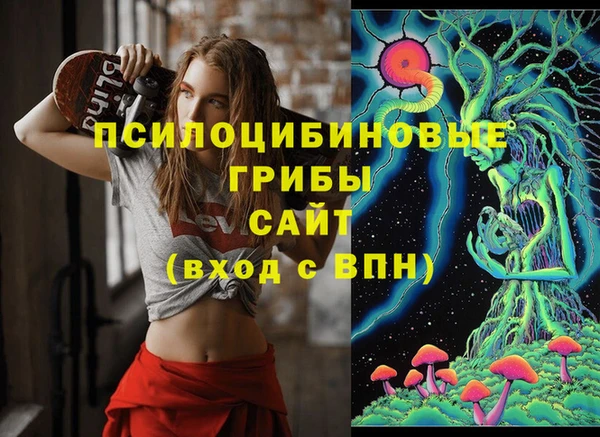 шишки Кулебаки