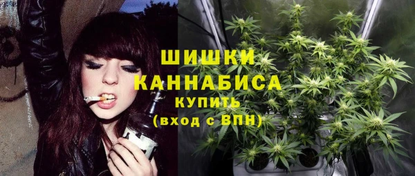 spice Куйбышев
