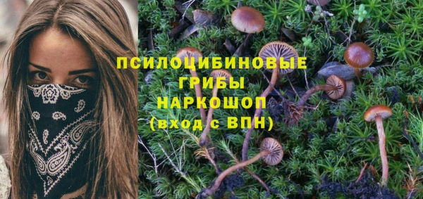 шишки Кулебаки